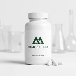 MP Phenylpiracetam Capsules thumbnail 0